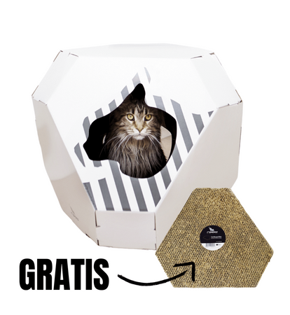 MIA – Katzenhaus mit Kartonmatte